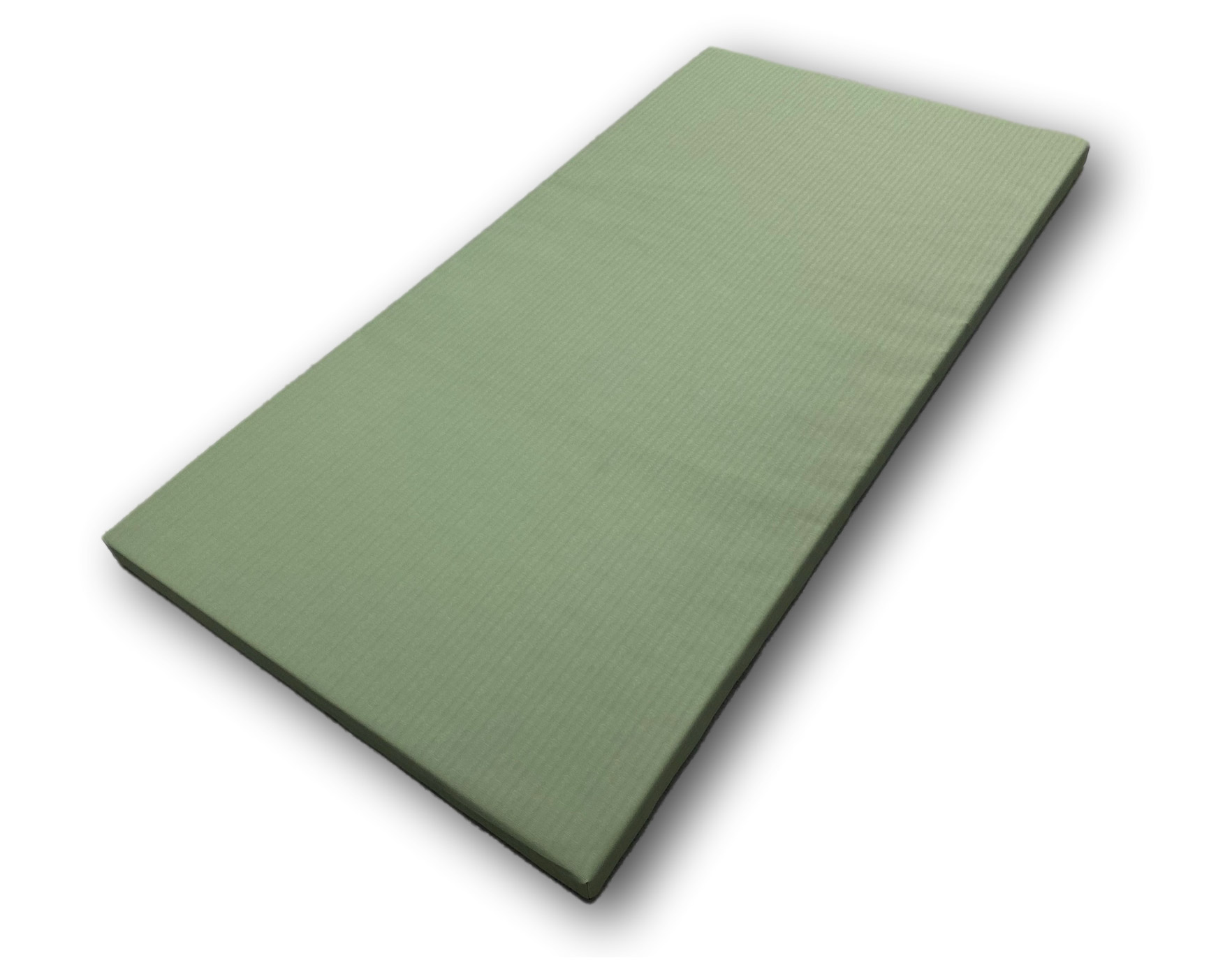 Tatami-Pro-strunjača
